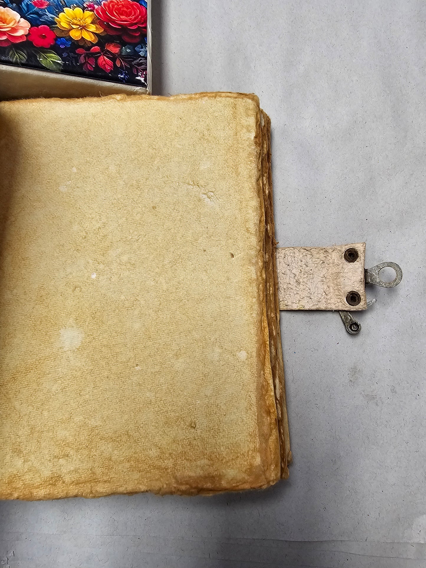 Deer Grimoire in Matching Box