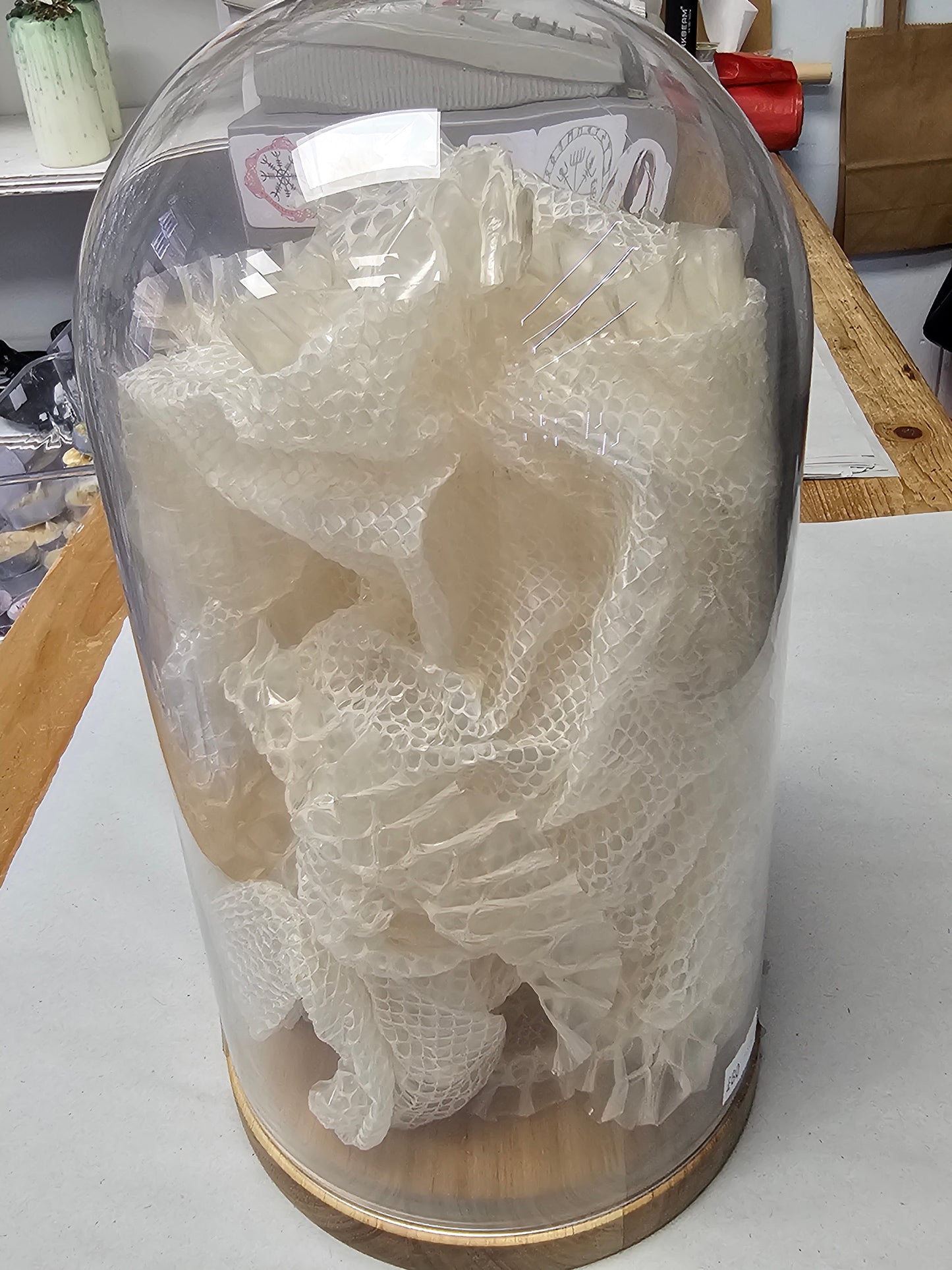 Golden Ball Python Skin 6ft